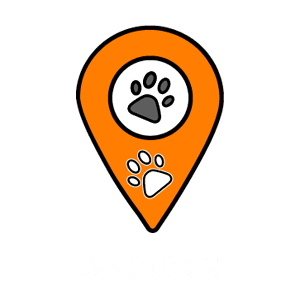 Зоотакси Такси для домашних животных в Москве